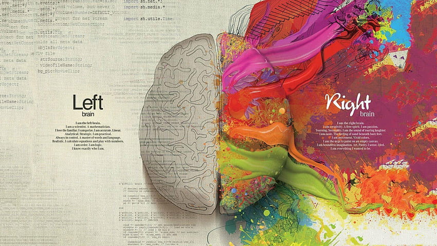 Left Brain Right Brain, big brain HD wallpaper