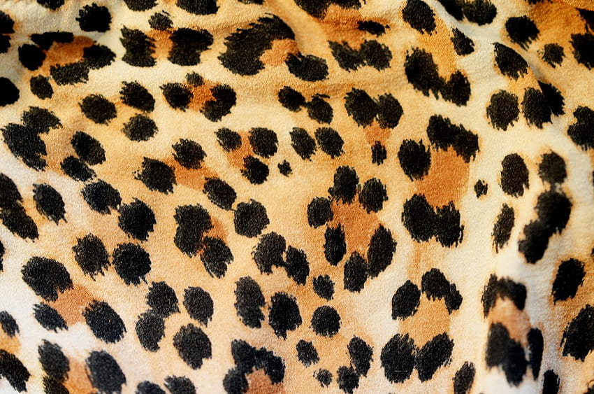 Leopard Print Backgrounds, leopard skin HD wallpaper