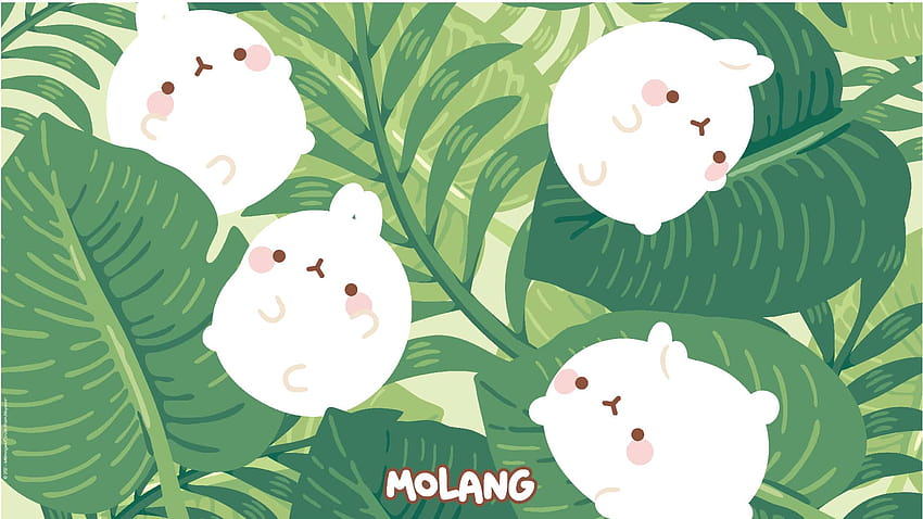 Molang Spring Wallpapers: Discover The Cherry Blossom Wallpaper of Molang
