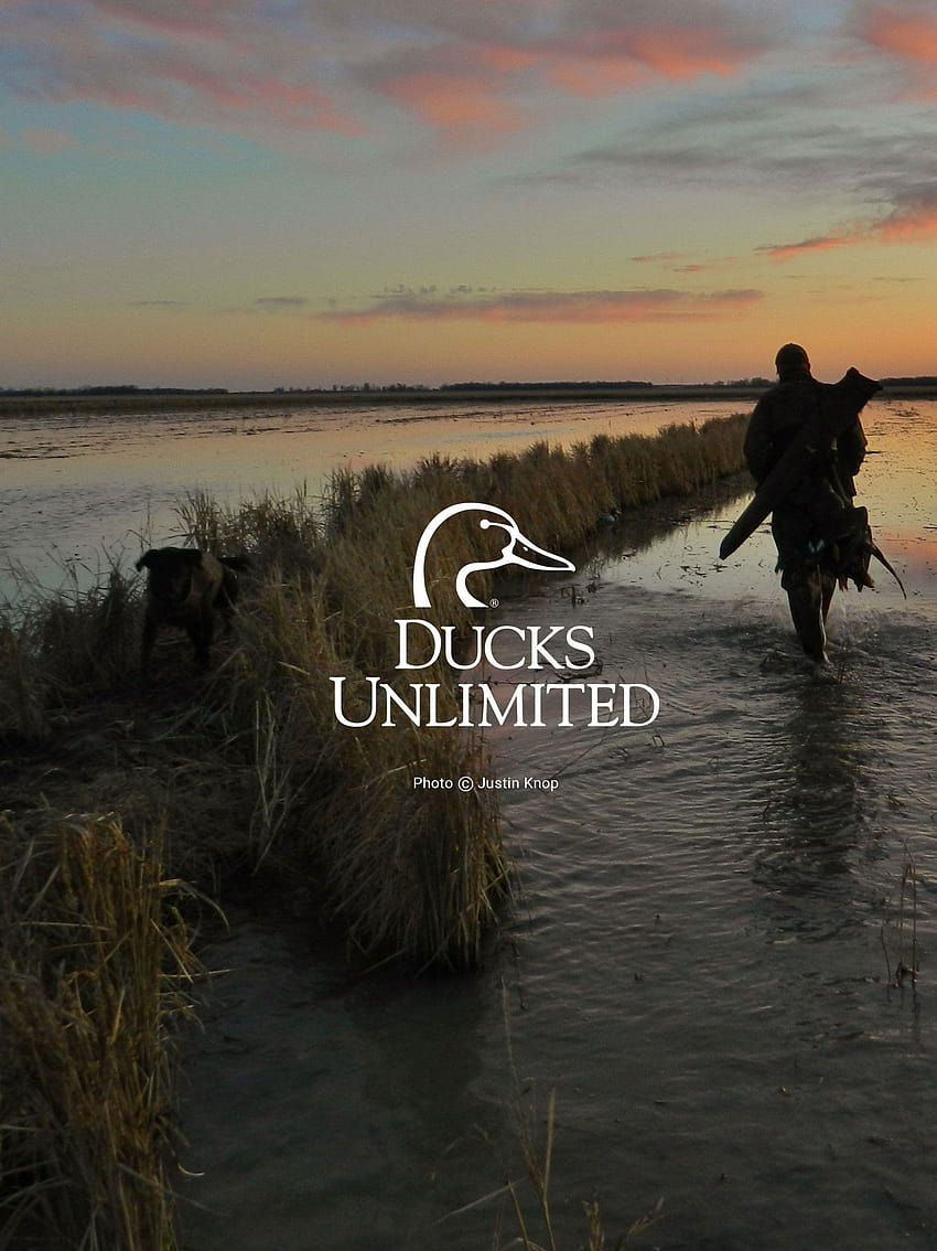 Tittle Throughout Ducks Unlimited, fly fishing iphone HD phone wallpaper