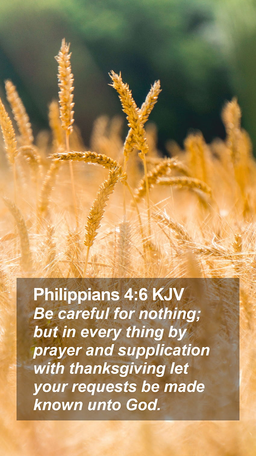 Philippians 46 NIV Bible Verse Backgrounds  Christian Wallpaper