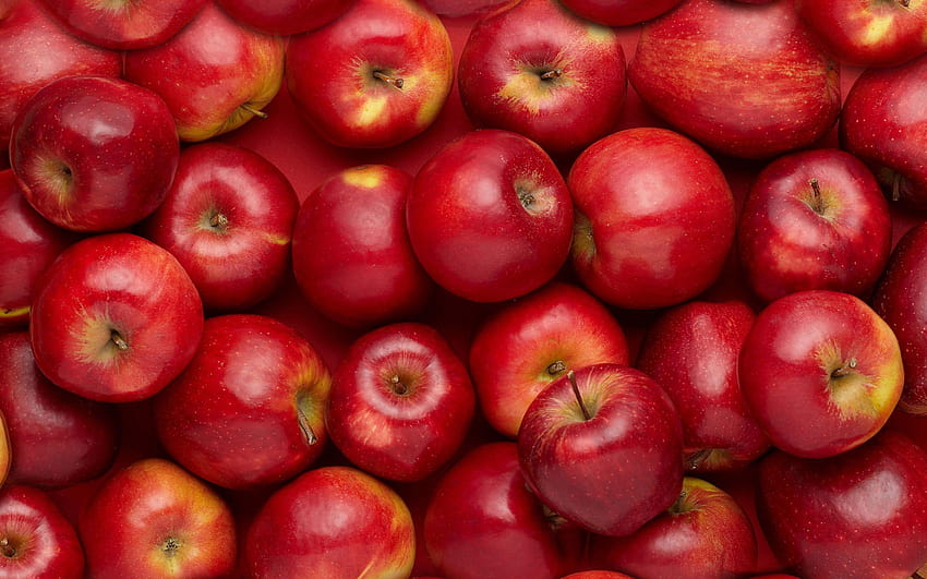 fruta de manzana roja fondo de pantalla