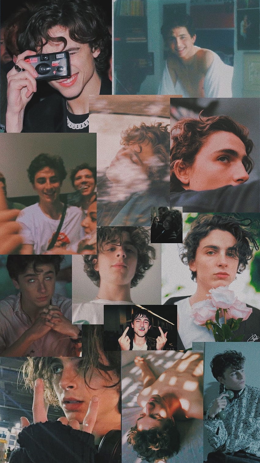Timothee Chalamet Aesthetic posted by Michelle Tremblay, timothee chalamet collage HD phone wallpaper