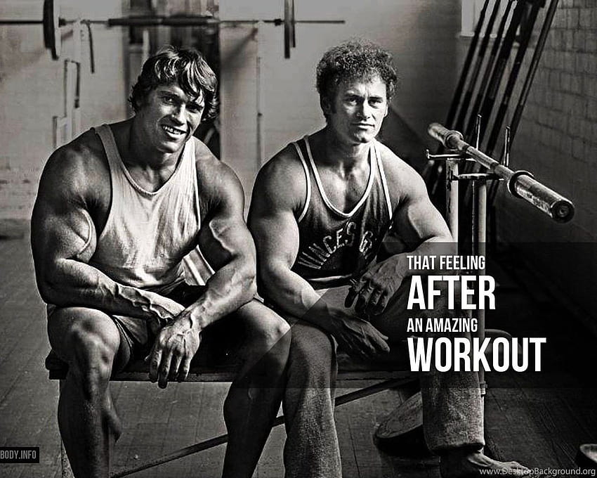 Arnold Schwarzenegger Backgrounds, arnold gym HD wallpaper
