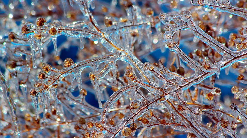 Inverno: Decoração de árvore de bola de Natal vermelha Cenas de inverno Pinho de neve, pingentes de gelo de natal papel de parede HD