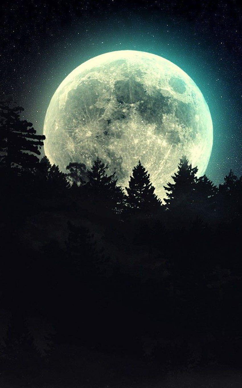 App][Moonlight Live ], Shower your screen with HD phone wallpaper