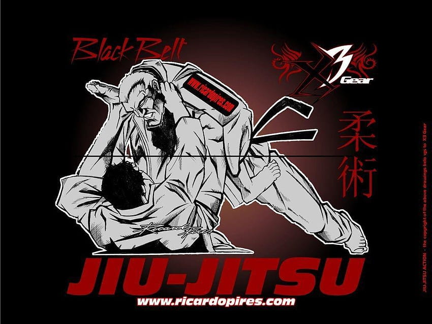 Gracie Jiu-Jitsu HD-Hintergrundbild