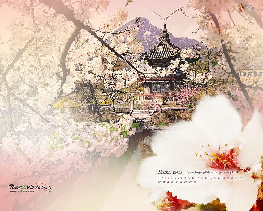 cute background korea HD wallpaper