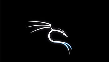 Does anyone have a 4k version of this kali linux wallpaper? : r/HelpMeFind