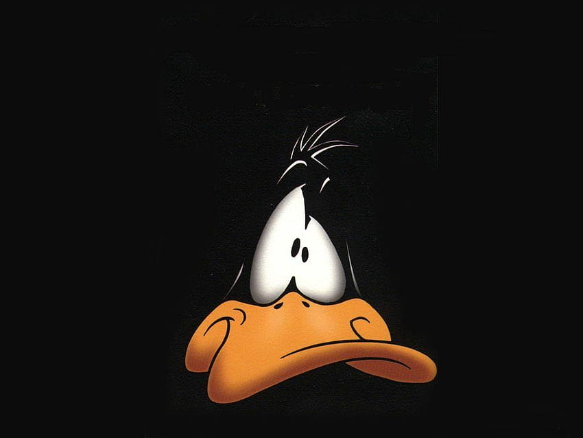 Daffy Duck 26175 HD wallpaper