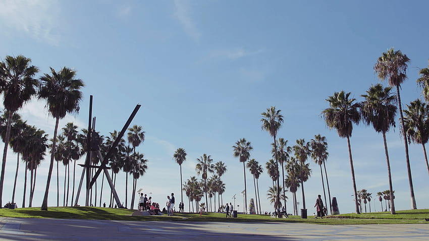 ベニス ビーチ ヤシの木 & 青い空風景、ロサンゼルス カリフォルニア ストック ビデオ、ベニス ビーチ ロサンゼルス 高画質の壁紙