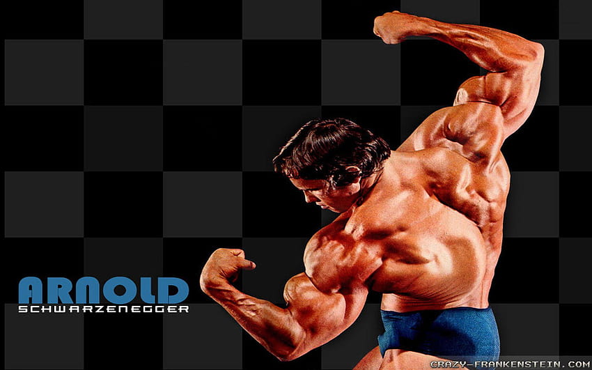 Arnold Schwarzenegger Arnold Bodybuilding Hd Wallpaper Pxfuel