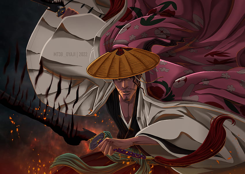 Download Shunsui Kyoraku of the Eight Division in Bleach Wallpaper   Wallpaperscom