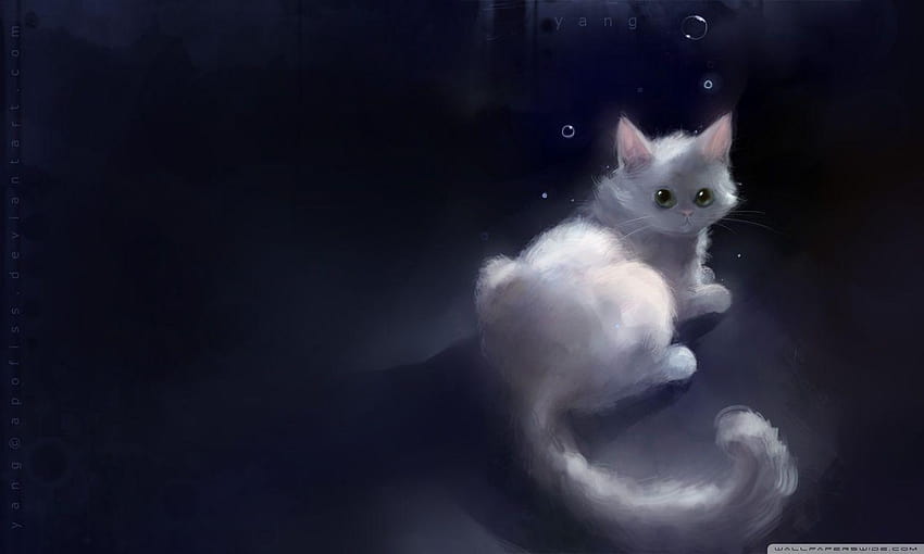 Yang Cat : Geniş Ekran : Yüksek Çözünürlük : Mobil, anime kedi HD duvar kağıdı