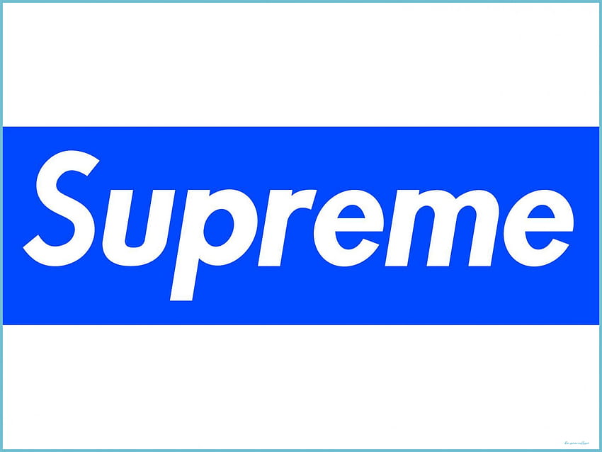 Logotipo da caixa Supreme azul no cachorro papel de parede HD