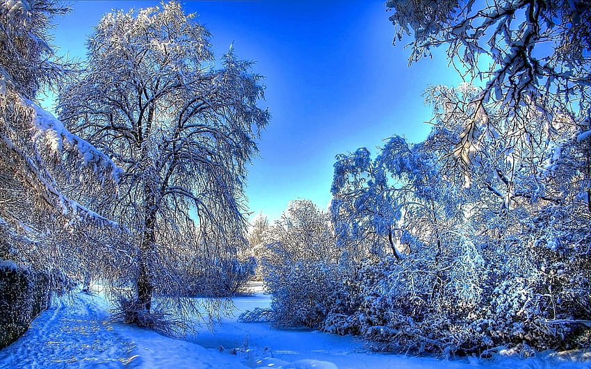 Ich entscheide mich, Ihnen einige besondere Orte zu zeigen, entspannenden Winter HD-Hintergrundbild