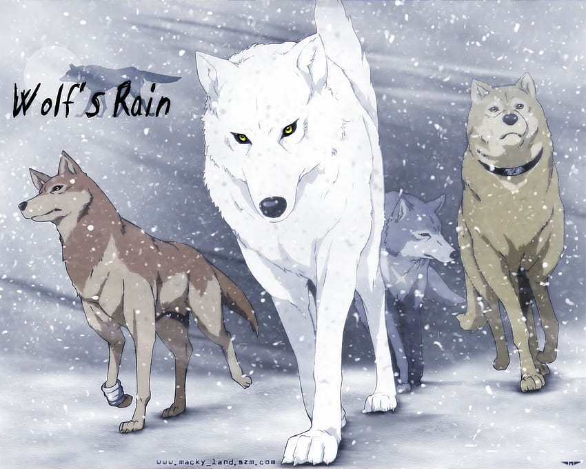 Lluvia de lobos 1280x1024 Lluvia de lobos [1280x1024, anime alpha wolf fondo de pantalla