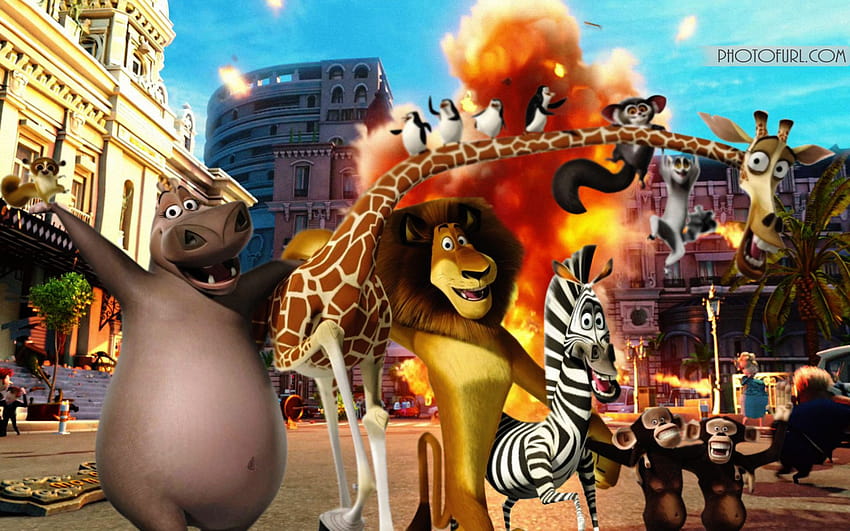 Best 3 Madagascar 3 on Hip HD wallpaper | Pxfuel