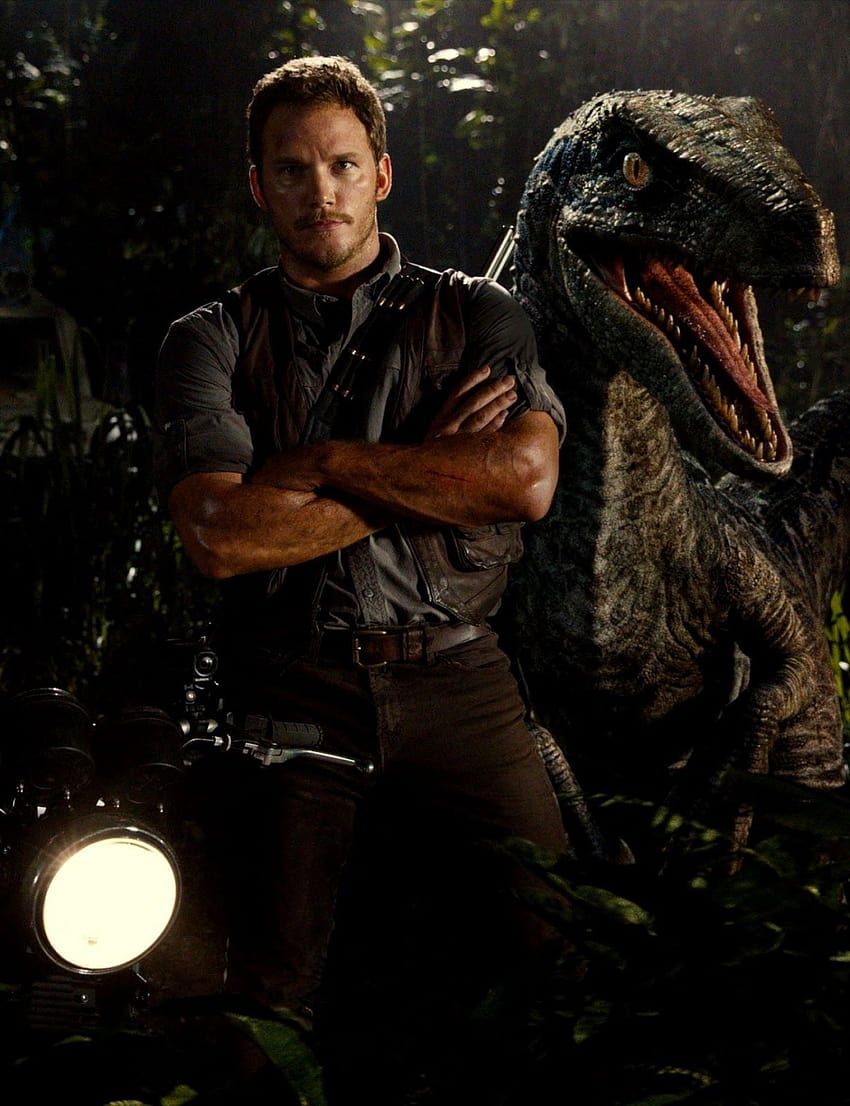 Jurassic World Chris Pratt ...itl.cat, blau der Velociraptor HD-Handy-Hintergrundbild