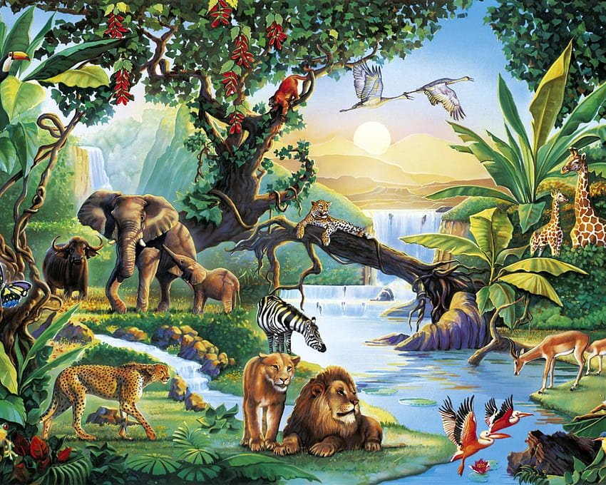 Tropical Rainforest Animals, rain forest animals HD wallpaper