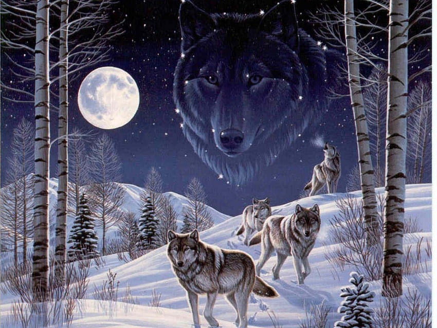 Outro Líder Lobo Alfa Espírito Canino Lobos Machos Animais, fundo de lobo alfa papel de parede HD