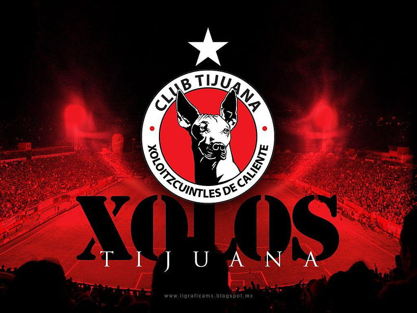 🔥 Free download WALLPAPERS XOLOS DE TIJUANA LOCAL HD [1600x900] for your  Desktop, Mobile & Tablet | Explore 11+ Xolos Wallpapers, Xolos Wallpapers,