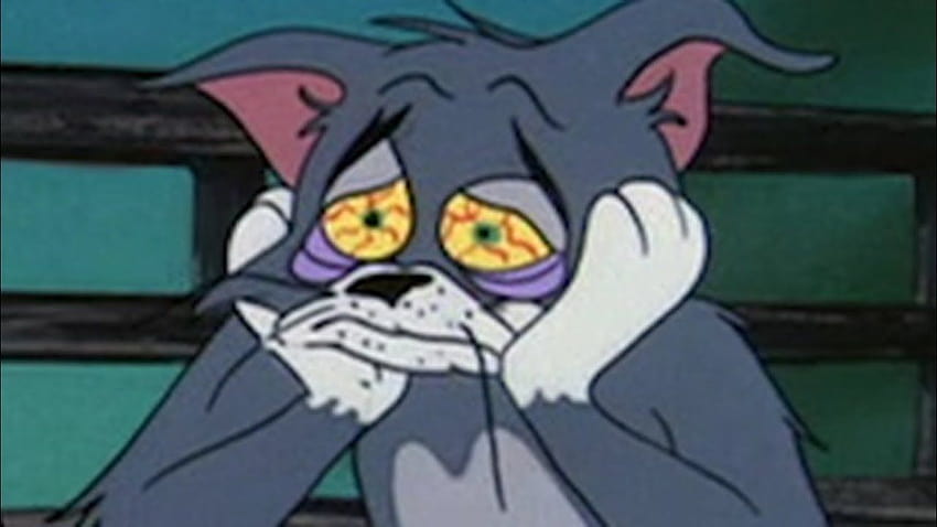 Tom e Jerry deprimidos, tom triste papel de parede HD