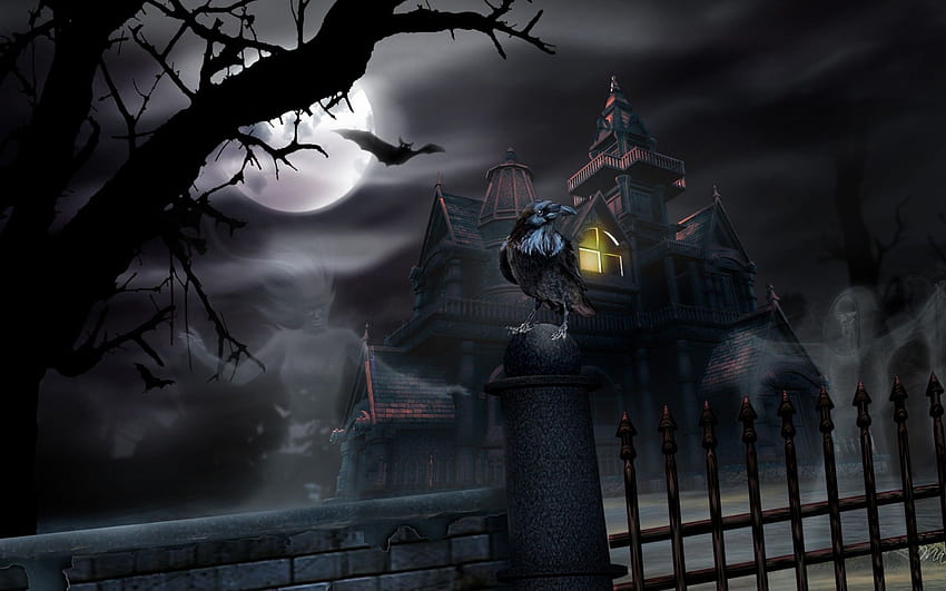 Halloween Vampire, anime vampire halloween HD wallpaper