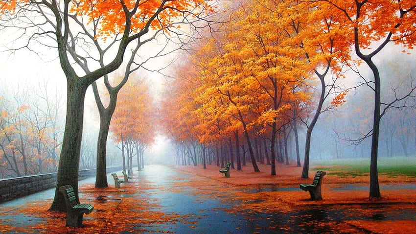 Autumn avenue HD wallpaper