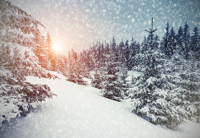 Christmas Winter Wonderland, aesthetic winter wonderland HD wallpaper