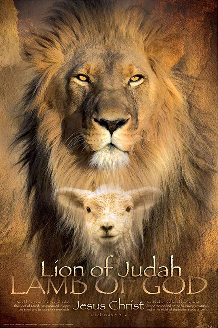 Lion Of Judah โพสต์โดย Ethan Tremblay สิงโตแห่งเผ่ายูดาห์ วอลล์เปเปอร์โทรศัพท์ HD