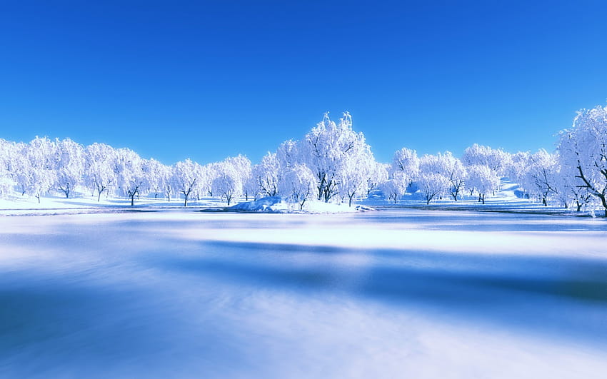 Winter Scenes Backgrounds 9 [1280x800] for your , Mobile & Tablet, winter computer screen HD wallpaper