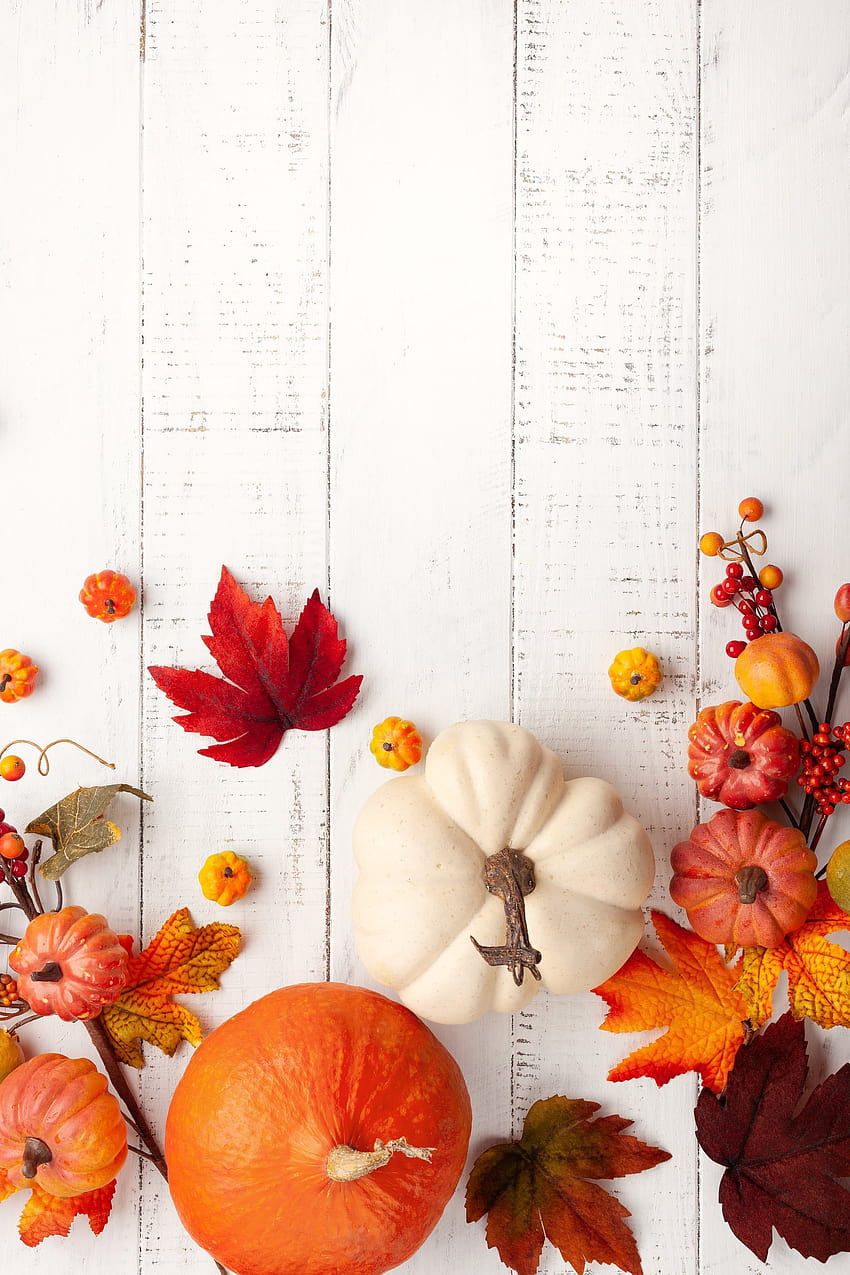 Kürbisse und Blätter iPhone, Herbst rustikal HD-Handy-Hintergrundbild