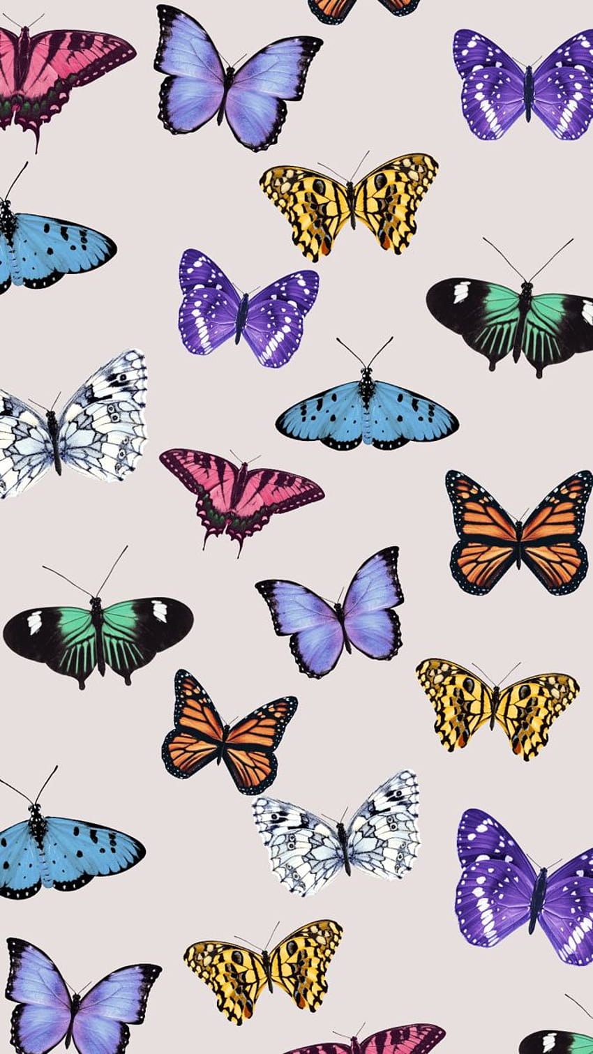 Page 6 | pattern butterfly HD wallpapers | Pxfuel
