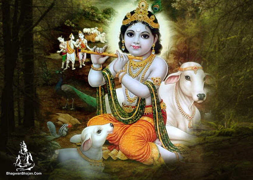 Bhagwan Shri Krishna &, 암소와 크리슈나 HD 월페이퍼