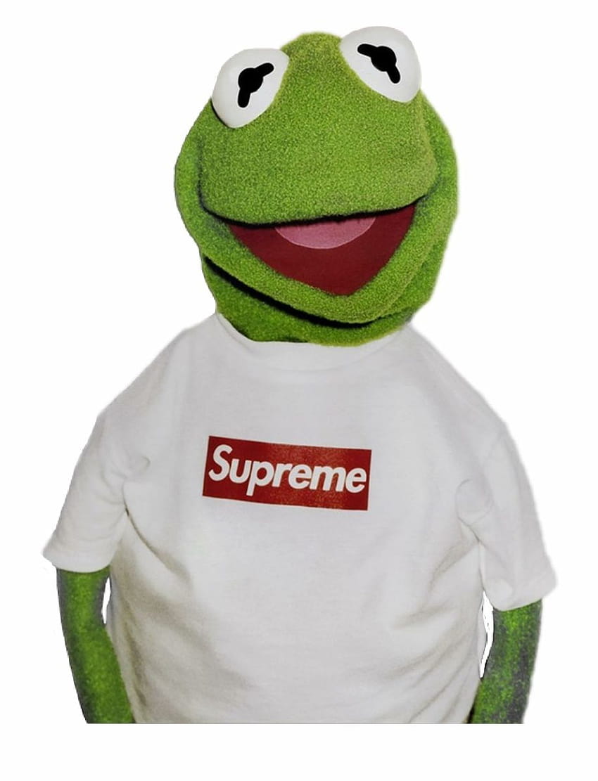 Supreme Kermit auf Hund .dog, kermit der Frosch Supreme HD-Handy-Hintergrundbild