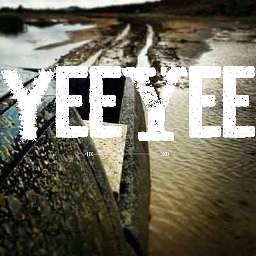 Yee Yee posted by John Thompson HD phone wallpaper | Pxfuel