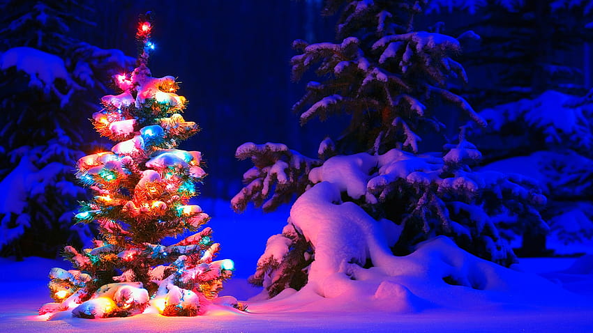 Snowy Christmas Tree Lights, winter lights 1920x1080 HD wallpaper
