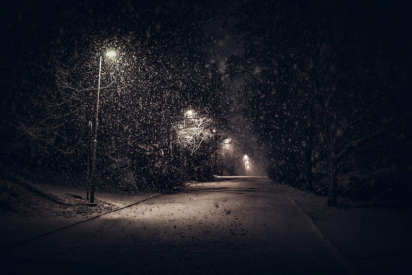 landscape, Nature, Street Light, Snow, Trees, Night, Urban, Shrubs HD wallpaper