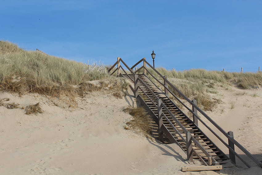 black wooden stairs, path through the dunes HD wallpaper