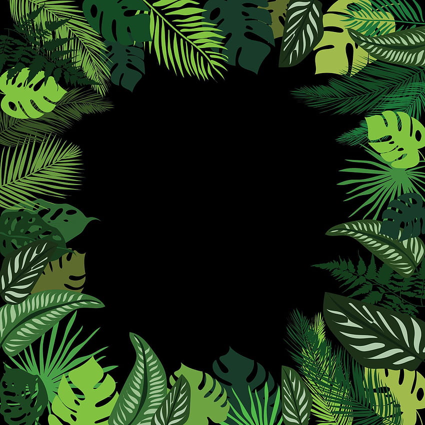 Tropikal yapraklar yaz çerçevesi, tropikal palmiye yaprakları arka planlar, siyah arka planda tropikal yapraklar. Farklı tasarım için illüstrasyon. Vektör grafikleri 5427310 Vecteezy'de Vektör Sanatı HD telefon duvar kağıdı