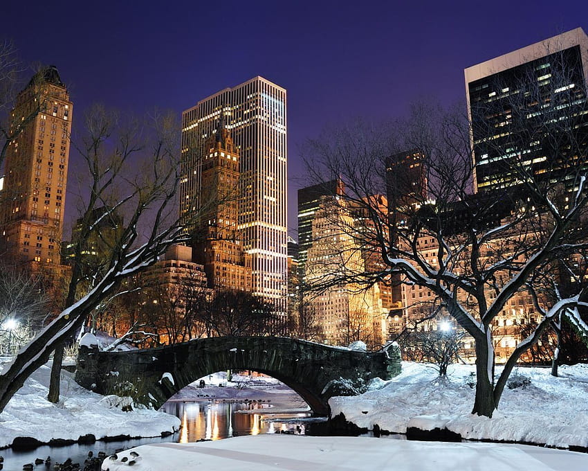 NYC At Night Central Park, central park in the snow at night HD wallpaper