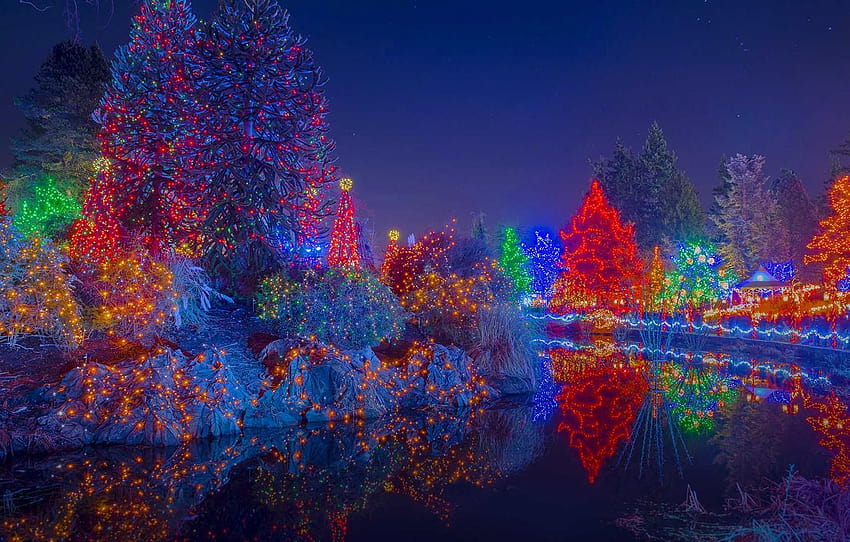 Trees, lights, holiday, Canada, Christmas, festival lights HD wallpaper