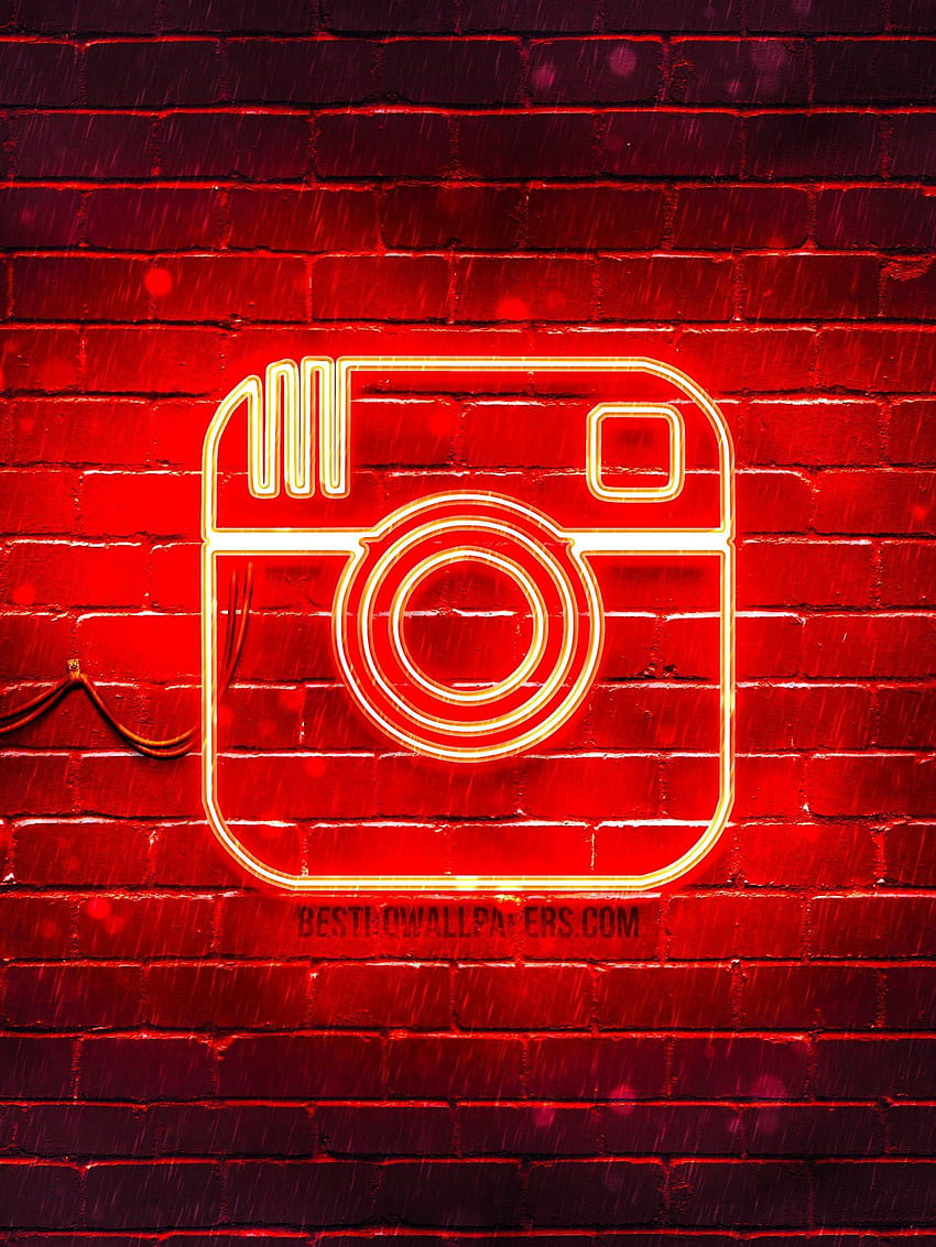 Instagram Background Pictures  Download Free Images on Unsplash