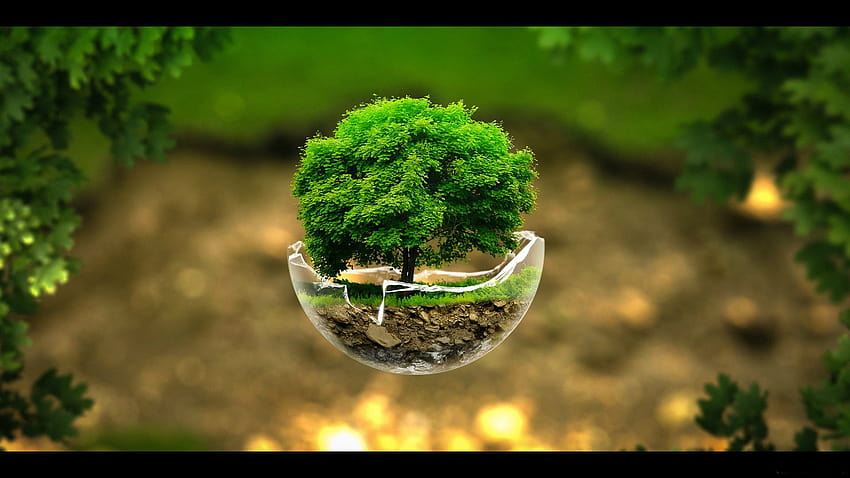 5 Earth Day, save environment HD wallpaper