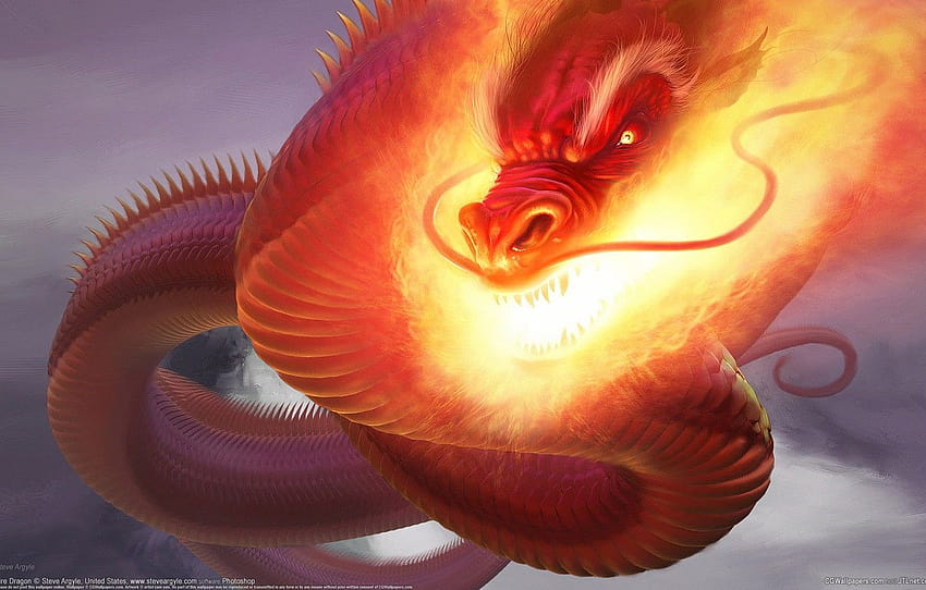 Dragon, Fire, CG , Steve Argyle, Fire Dragon, Snakes , section фантастика, fire snakes HD wallpaper