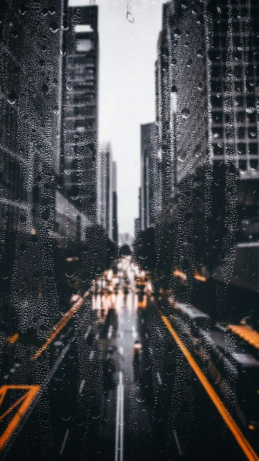 PICS by MUSA3D, aesthetics rainy city HD phone wallpaper