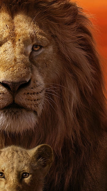 The lion king 2019 full hot sale movie in telugu download 720p