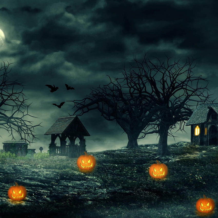 Jack O Lantern, Halloween, Darkness, Twilight • For You For & Mobile ...