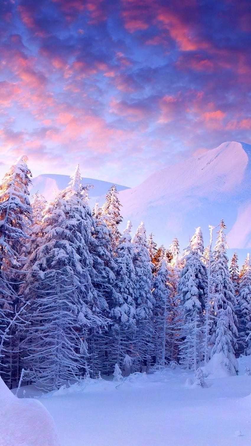 eszi salca on Invierno, snowy landscape HD phone wallpaper